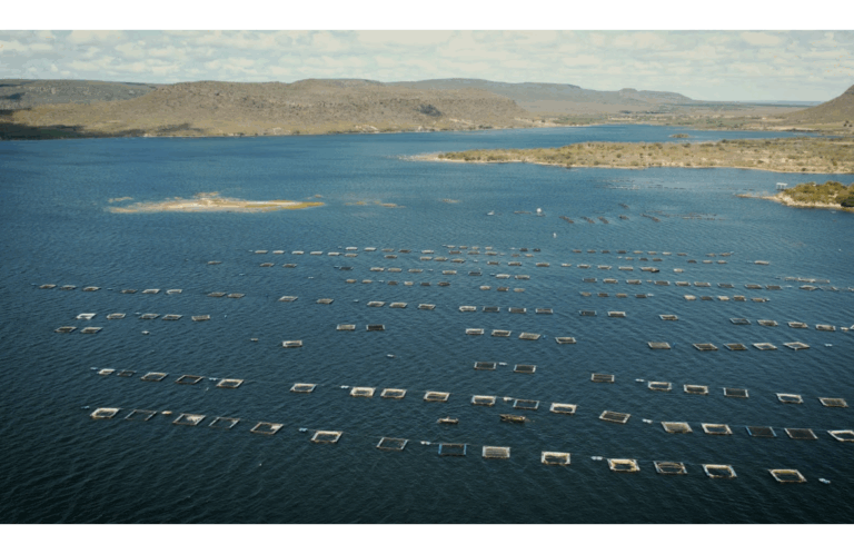 TV Bahia estreia nova temporada de “Onde tem Bahia”