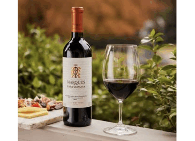 Marques de Casa Concha celebra 50 anos