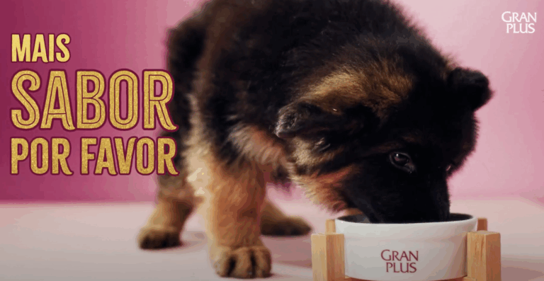 GranPlus completa 15 anos com “Mais Sabor Por Favor”