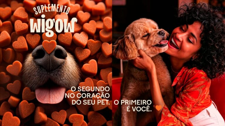 Wigow quer conquistar os corações de pais de pets