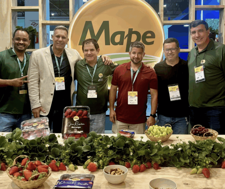 A Verdadeira Origem do Morango do Amor