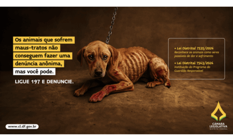 Campanha Pets 2025 conscientiza sobre maus-tratos