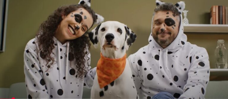 Wigow mostra que cães precisam de suplementos