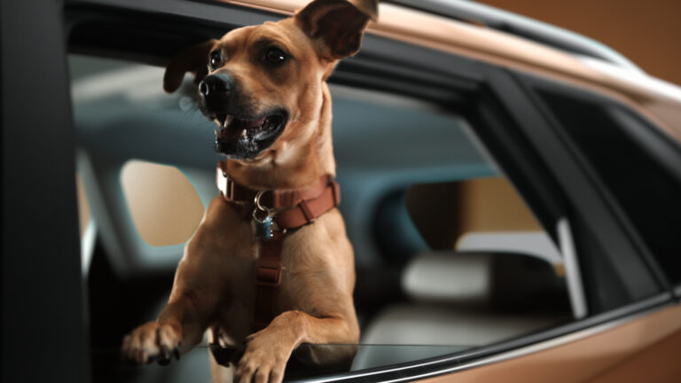 Chevrolet lança o Tracker Caramelo