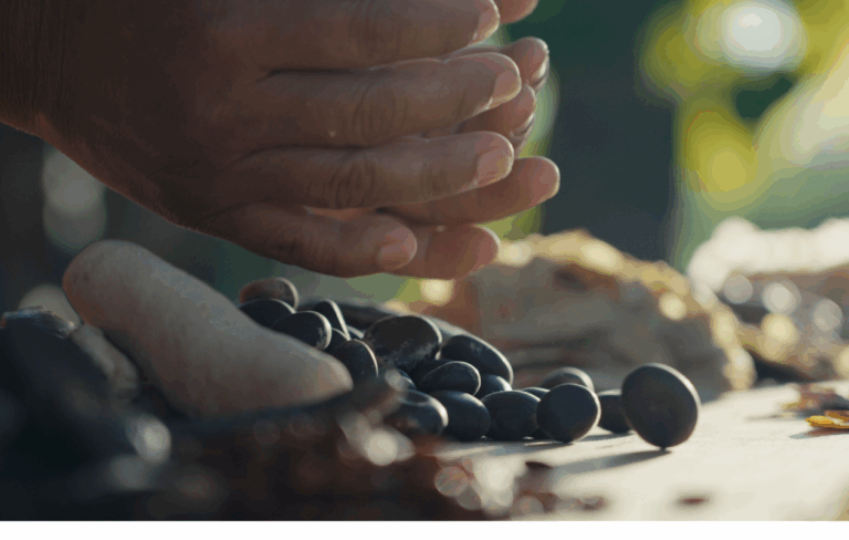 Prime Box Brazil estreia “Agenda ESG”