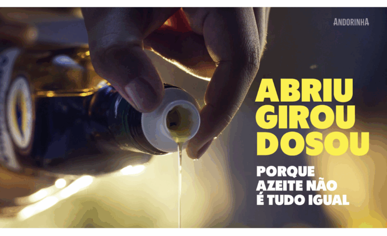 Andorinha lança campanha 360º