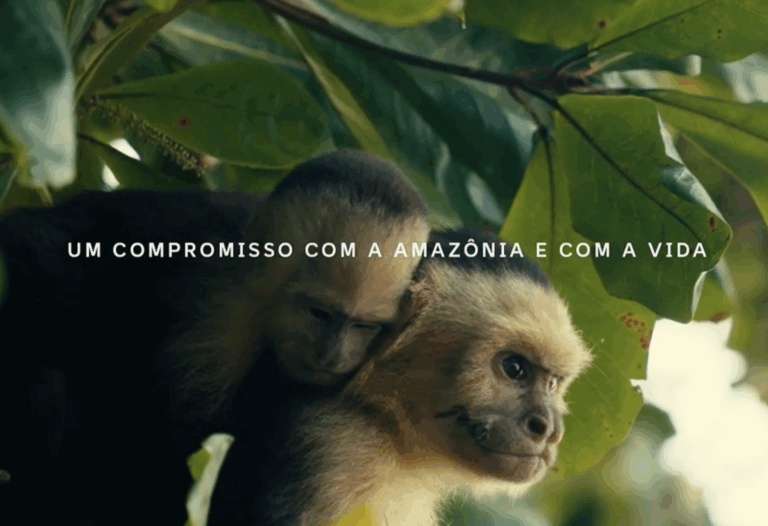 Vivo atende chamado da natureza para COP30
