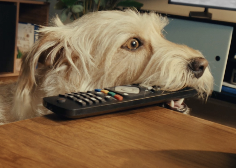 Panasonic transforma energia em emoção em nova campanha